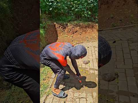 Spiderman harus bersih‼️