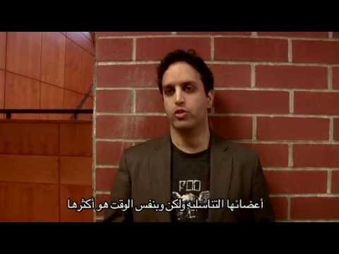 What Every Woman Should Know: Arabic كل امرأة يجب أن يعرف washington dc university