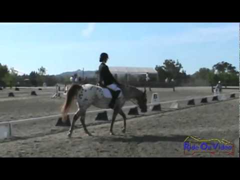 382D Lexi Vallier Jr. Beg. Novice Dressage Eventin...