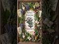 Herbal Histories: Valerian - #herbal #history #valerian #piedpiper #anxietyrelief #depression
