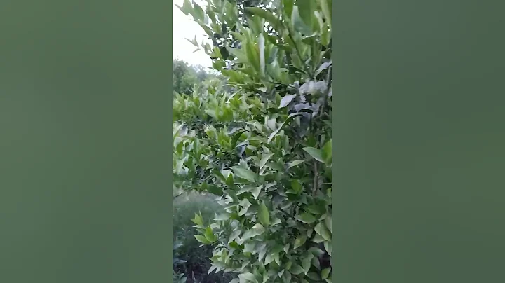 ONE ACRE PROSPERITY MODEL