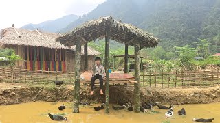 Poor boy - Build a complete bamboo hut - Cook with a kind man