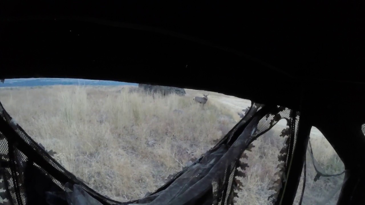 Eastern WA Archery Hunt Nockturnal YouTube