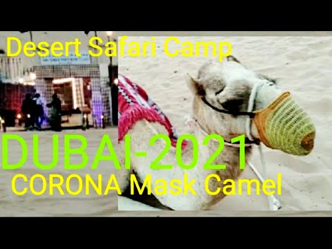 Dubai 2021#Desert Safari Camp Details