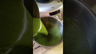 Creamy Nettle Soup