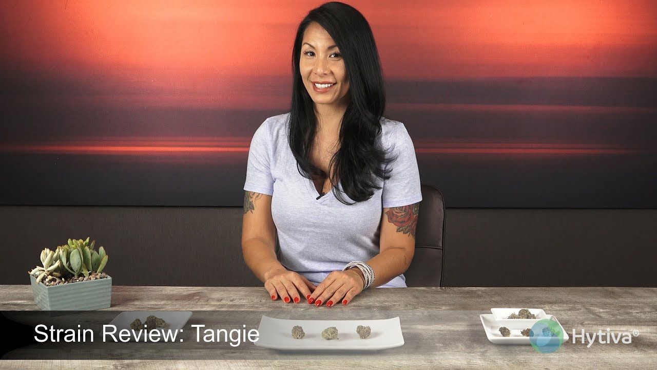 Strain Review: Tangie