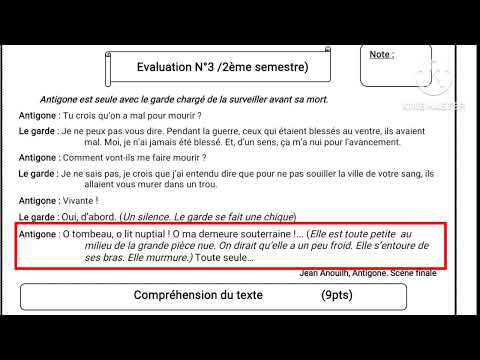 2ème année collège évaluation N3 semestre 2 compréhension et langue التانية إعدادي الفرض الثالثة