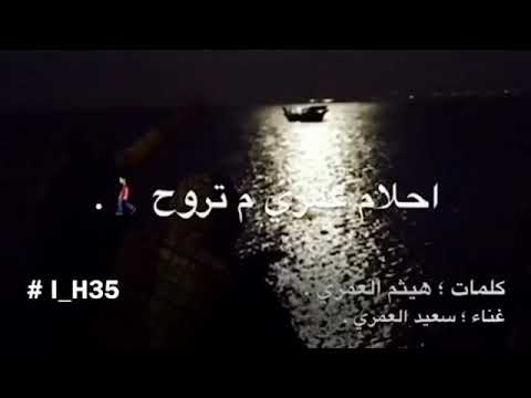 روعه سعيد العمري 