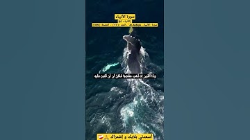 { وَذَا ٱلنُّونِ إِذ ذَّهَبَ مُغَٰضِبٗا } تلاوة مبكية من سورة الأنبياء .