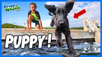 NEW PUPPY! Kids play with and train their new dog | River and Wilder