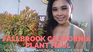 My 400th video! FallBrook California Plant Haul | March 2019 | ILOVEJEWELYN