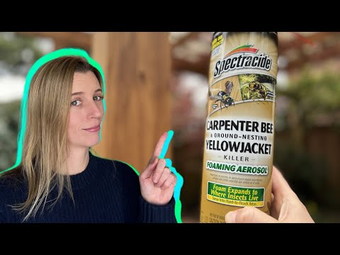 What Is The Best Insecticide For Ground Bees
