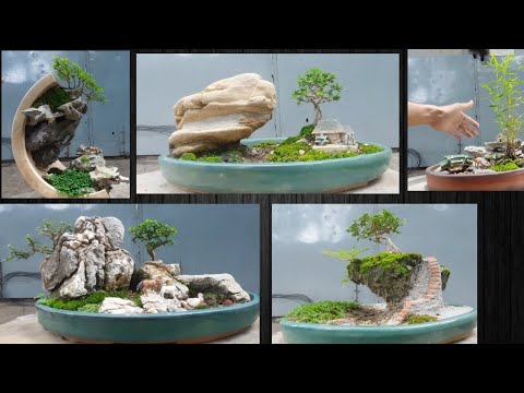 Video TỔNG HỢP NHỮNG TIỂU CẢNH MINI CỦA BONSAI BỎ TÚI/TIỂU... - youtube