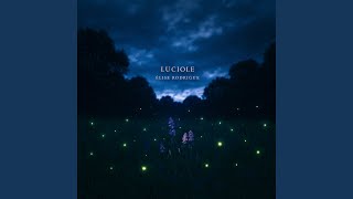 Luciole