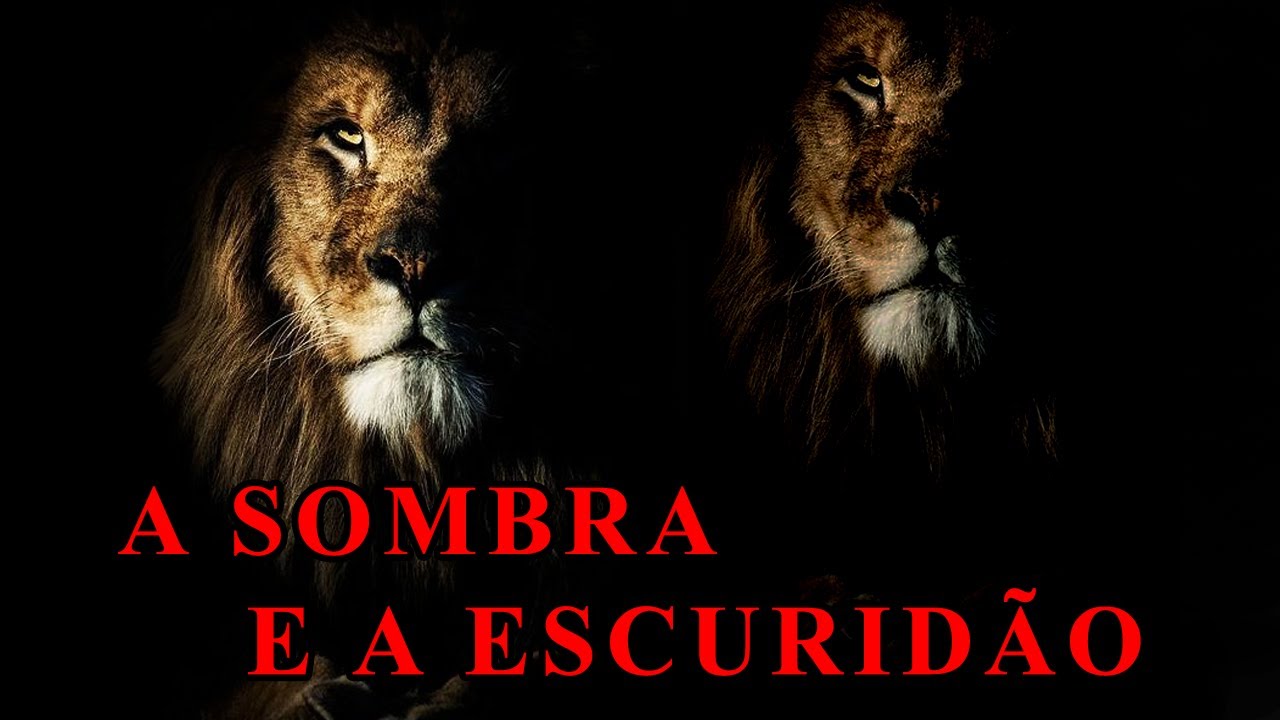 A SOMBRA E A ESCURIDÃO | HISTÓRIA REAL DOS LEÕES DE TSAVO - YouTube