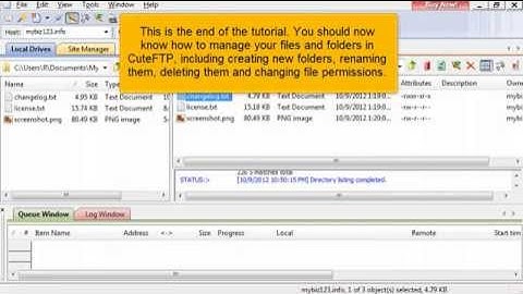 How to Manage Your Files Using CuteFTP (Flipper Host)