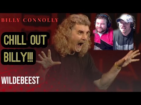 CALM DOWN BILLY!!! Americans React To 