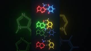 How DNA Copies Itself — #documentary #DNA #genetics #science #biology