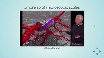Fergal Byrne: From Synapses to Symphonies - the Brain as Dynamical Systems Modeller