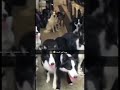 جرد اخر السنه