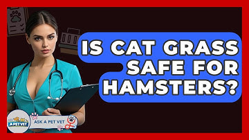 Is Cat Grass Safe For Hamsters? - Ask A Pet Vet