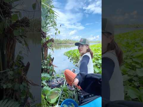 Một cô gái rất mê câu cá #vyhanfishing #fishing #caucavatrainghiem #mientay