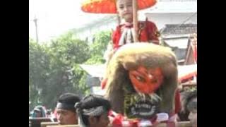 arak arakan singa depok