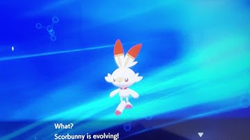 Pokemon Shield | Scorbunny Evolving into Raboot