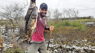 PESCARIA CAIPIRA de VARINHA de BAMBU É NO CAPIM que AS BRUTAS das TRAÍRAS FICAM! Matuto do Brejo