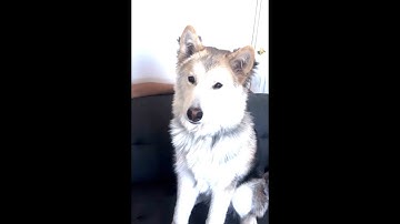 Members section sneak Peak! Buying Dan a Bed/Furniture