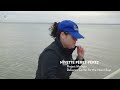 Why Are There 30 MILLION Horseshoe Crabs On This East Coast Beach? (feat. @KQEDDeepLook)