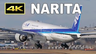 [4K] Plane spotting 2023 - Tokyo Narita International Airport / 成田空港