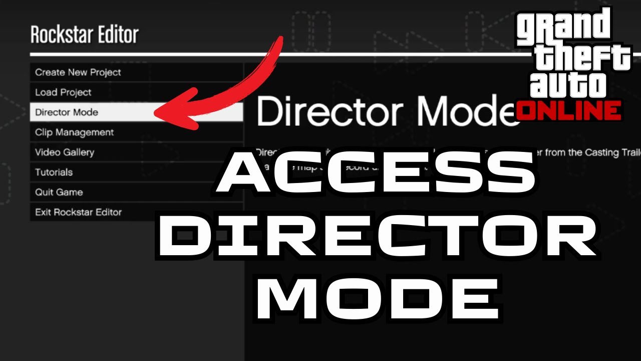 How To Access Director Mode In GTA 5 Online 2024 GTA Online Tutorial 