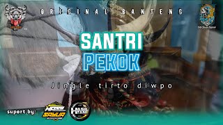 Dj bantengan ‼️ JINGLE “TIRTO DWIPO (SANTRI PEKOK & Dj ANDIKA) vocal INDRI ANANDA