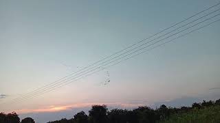 V formation of Bird flying YouTube