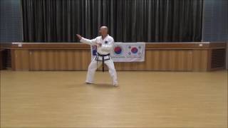 United Taekwondo Chief Instructor Brett performing Hwa-Rang - 2nd kup pattern.