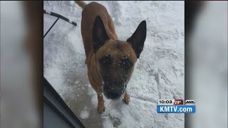 Day long standoff ends, K-9 is shot and killed