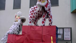 Yi Quin 2010  Bristol Wai Yee Hong Chinese Super Market Lion Dance