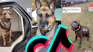 The Most Coolest k9 Police Dog TikTok Compilation | Dogs Of TikTok