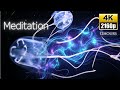 Japan's Mysterious Shooting Star 🪼Jellyfish | 12 Hours of Calming 4K Marine Life Ryusei Jellyfish