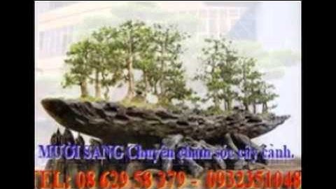:0932351048.]] nhận cắt, tỉa, chăm sóc cây cảnh quận 12.tphcm