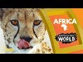 Africa  destination world