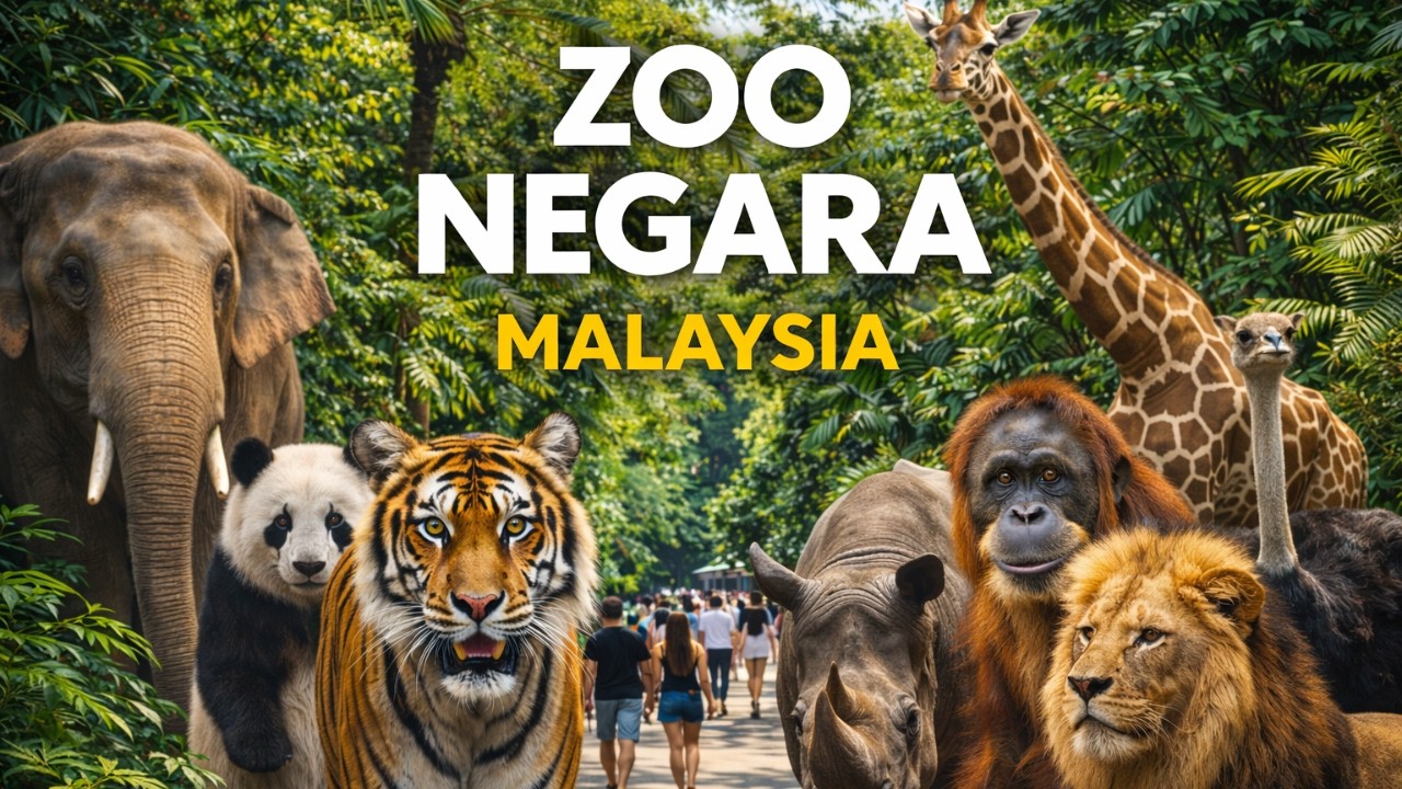 Zoo Negara Malaysia, Kuala Lumpur 2026 - Full Walking Virtual Tour 4K