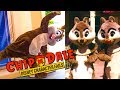 Evolution of Chip and Dale- Top 10 Disney Fails, Falls & Character History