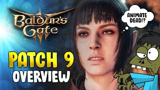 Famous Baldur's Gate 3 Patch 9 Update! (Level 5, Paladin Class, Reactions & More!)🔥 Wealth