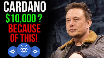 Elon Musk Is Sure: Cardano Will Hit $10,000 I Cardano Price Prediction 2021