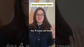 Смысл праздника Суккот. Эдна Амирагова #shorts #иудаизм #тора #torah #суккот #эбраэли #ebraeli