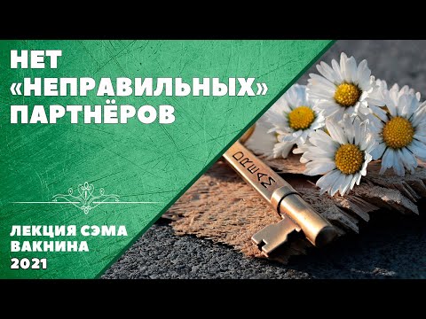 НЕТ "НЕПРАВИЛЬНЫХ" ПАРТНЁРОВ (лекция Сэма Вакнина)