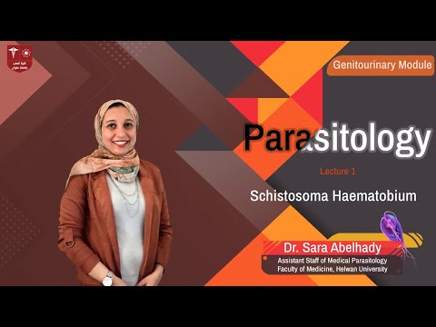 Vidéo: Modélisation Des Données D'enquête Schistosoma Haematobium Et S. Mansoni Hétérogènes Selon L'âge Via Des Facteurs D'alignement