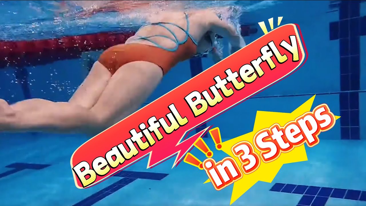 三步學會優美蝶泳#swimming #swimmin #swim #游泳 #游泳教學 #butterfly #蝶泳 